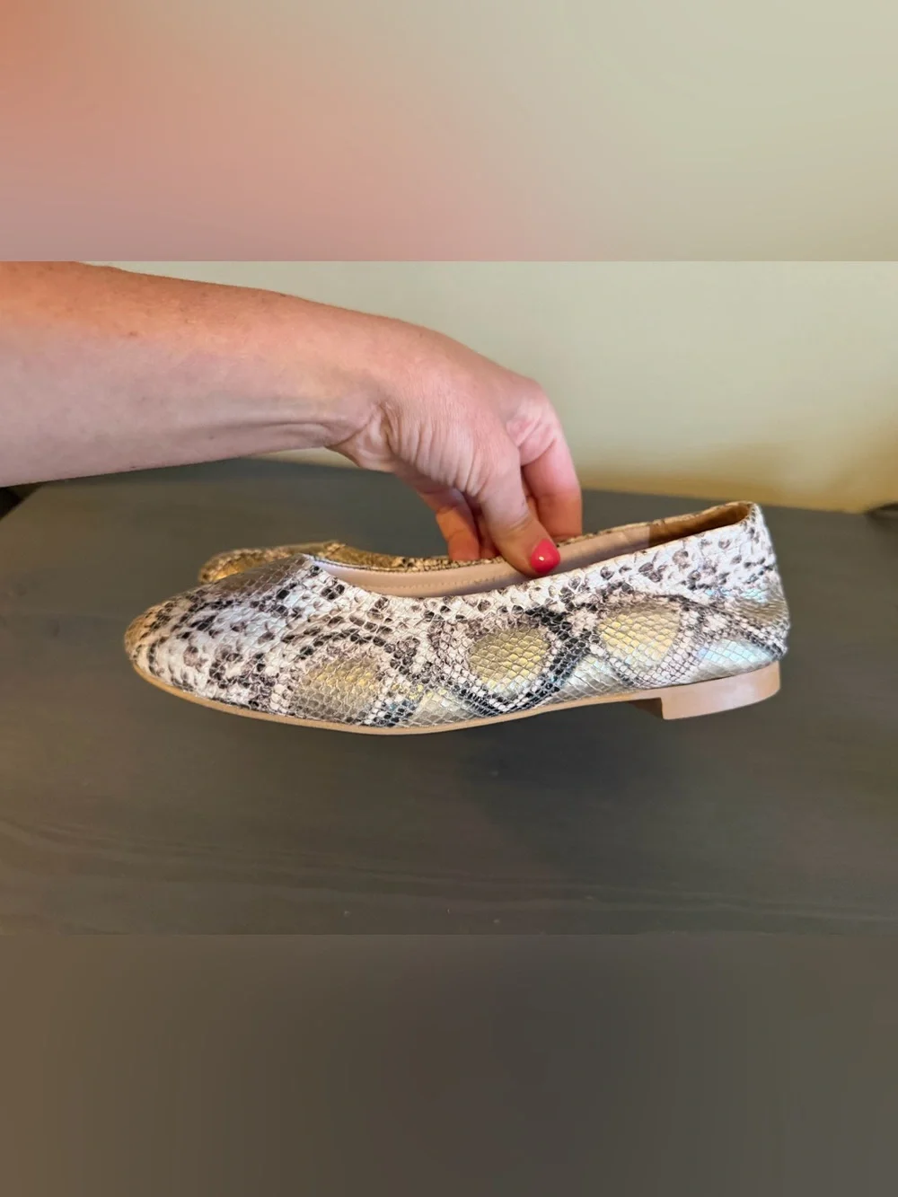 Sole Bliss Women’s Snake-Print Ballet Flats